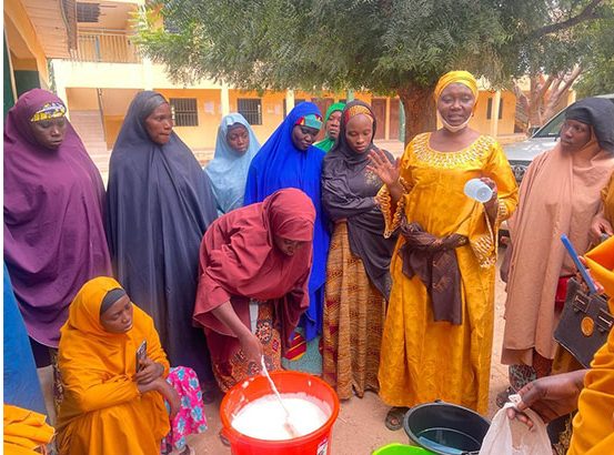Training of women in food processing for household nutrition and income generation. 