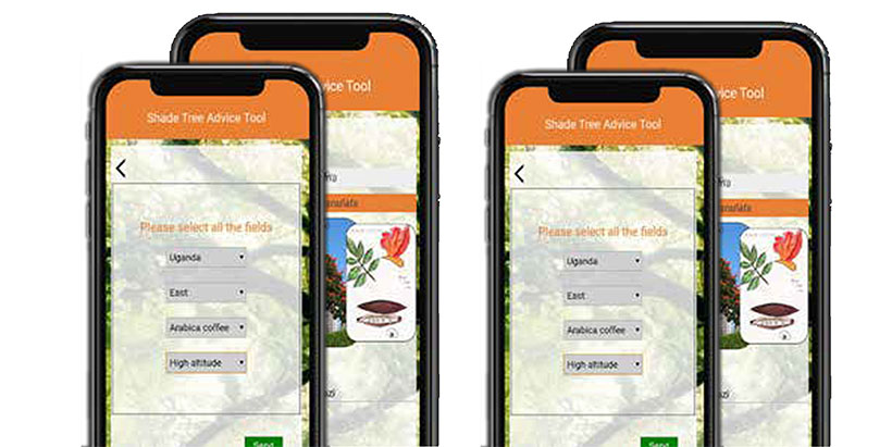 Ugandan coffee farmers enjoy increased yields through CSA technologies despite COVID-19 pandemic