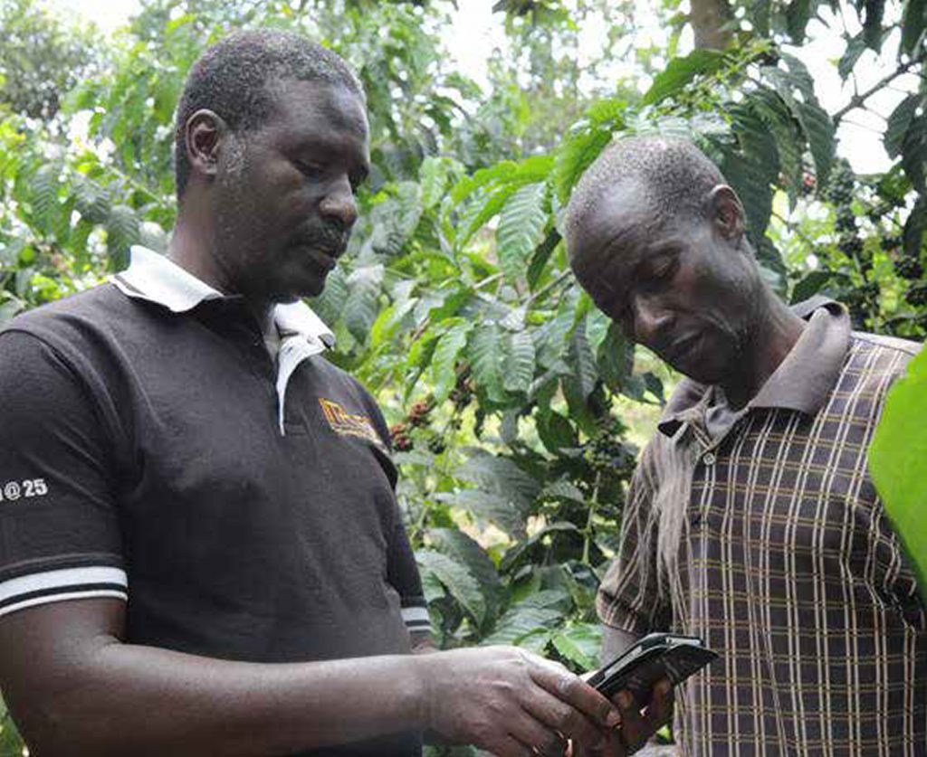 Photo of Ugandan Farmers