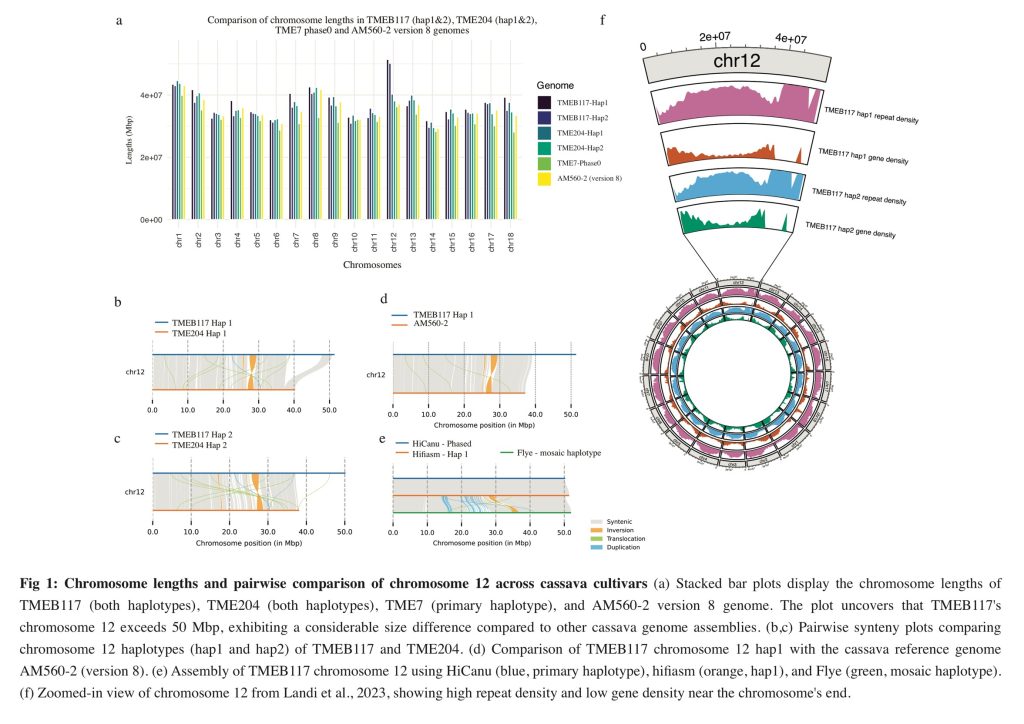 Genetic map showing the new insert.