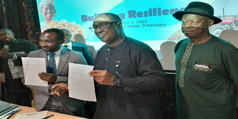IITA Director General and CGIAR Regional Director for Continental Africa Dr Simeon Ehui and Sierra Leone Minister of Agriculture Honorable Henry Kpaka displaying the MoU after signing and Dr Alfred Dixon (r).