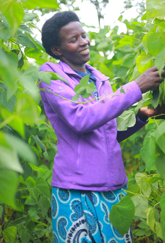 Valentine Dusengimana, a farmer in Rulindo District, admiring the improved condition      beans after using lime grade one.
