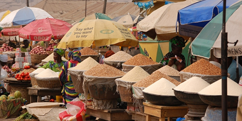  IITA partners WUR to improve food systems