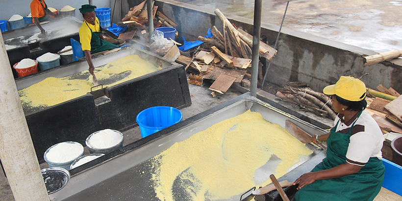 Women frying gari at IITA Cassava processing center