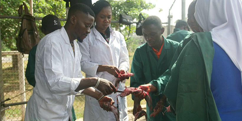 YAS 2023_Beneficiaries engaged in experiential learning in the Aquaculture value chain.