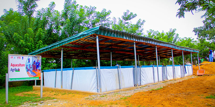 YAS aquaculture hub in the Federal Capital Territory, Abuja.