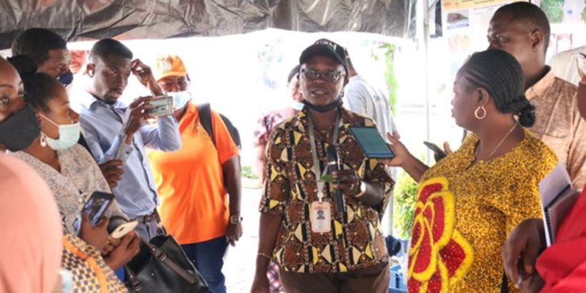 Silent revolution as farmers attest to the productivity of “chin-chin” yam