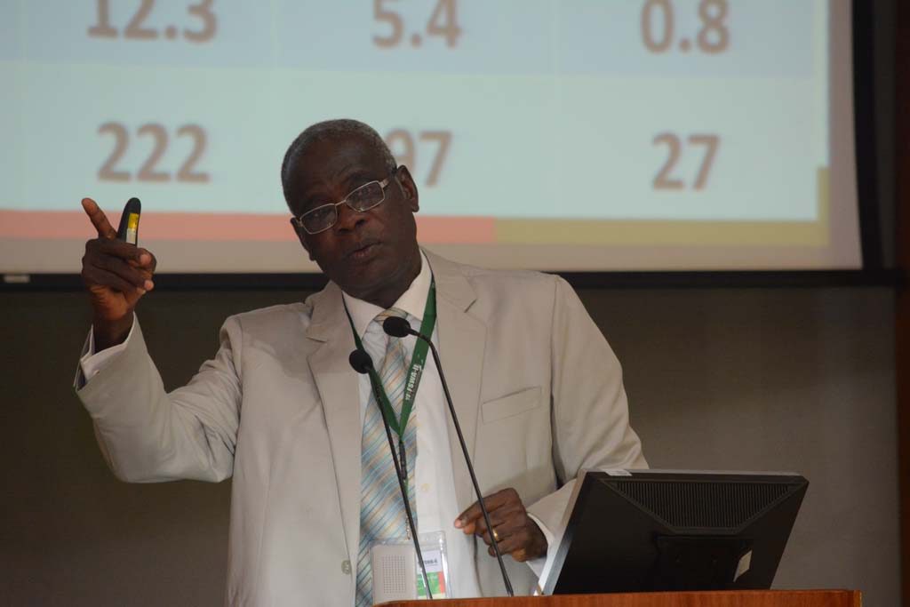 Picture of YIIFSWA Project Leader, Norbert Maroya, giving a presentation at the meeting.