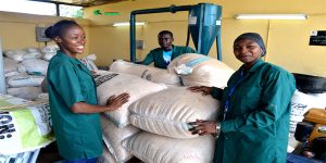 Young agripreneurs ready to move their harvested produce to the market
