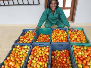 More African countries are exploring agriculture as a means to strengthen their economies.