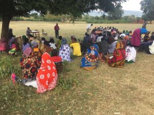 Picture of a self-organized field day led by the extension agents underway in Babati District. Photo credit: Job Kihara/CIAT.