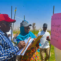 Professor Morufat Balogun and Dr Olaniyi Oyatomi assessing a yam bean accession on the field.
