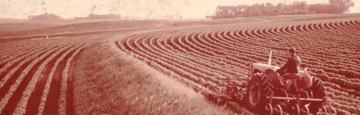 Picture of a tractor in a farm