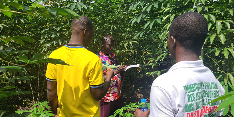 Training participants during field practice.
