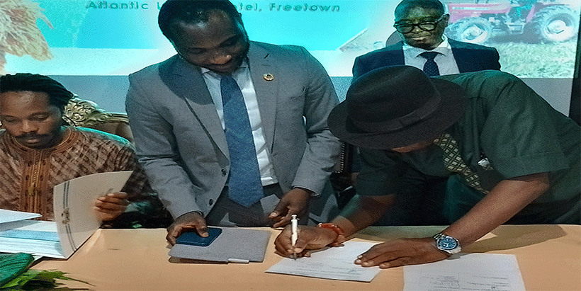 (l) Sierra Leone Chief Minister Honorable David Moinina Sengeh, (m) Sierra Leone Minister of Agriculture Honorable Henry Kpaka, (r) IITA Director Delivery and Development Dr Alfred Dixon signing the MoU.