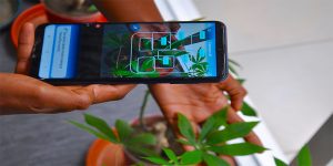 NuruAI app scanning leaves of a cassava plant to detect diseases and pests.