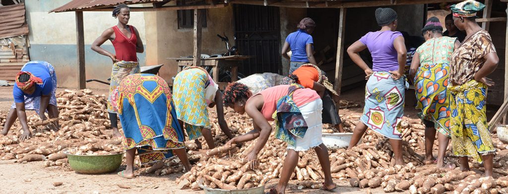  Women traders in a cassava market in Southwest Nigeria.