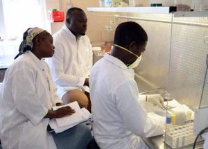 Staff working in the Lab.