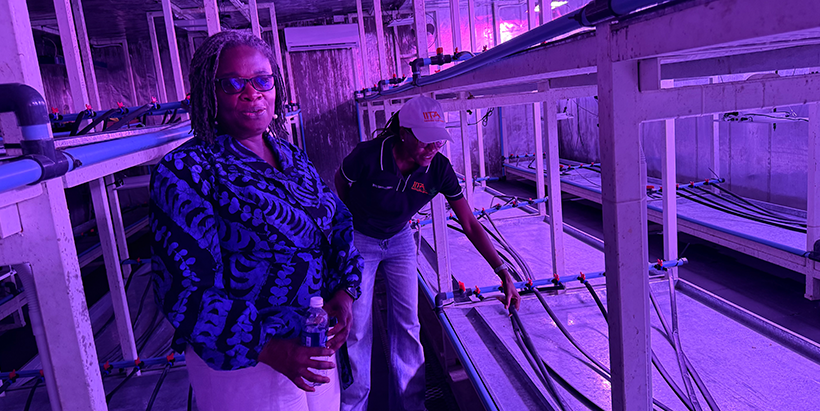 Dr Kwakwa is taken through the recently launched soybean speed breeding facility.