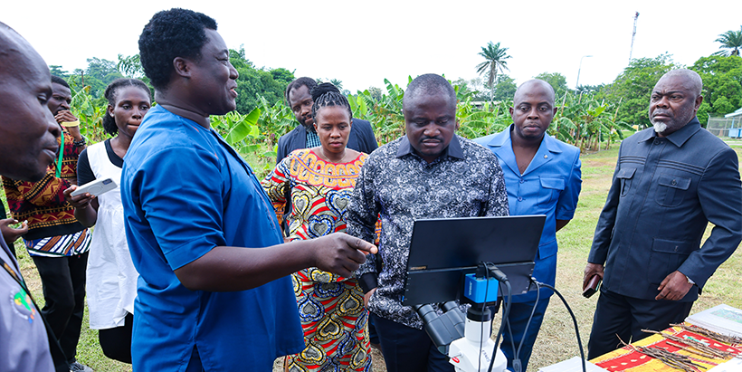 H.E. Muhindo Nzagi Butondo, Minister of Agriculture of the Democratic Republic of Congo and the Provincial Minsiters on the plantain field with IITA Pathologist, Dr Yaw Kolombia.