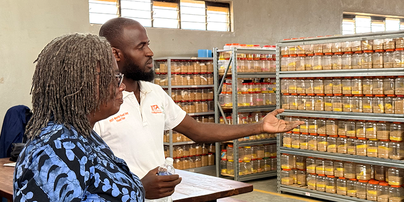 IITA-Field Technician, Maxwell Siamasimbi shows Dr Kwakwa the soybean storage facility.