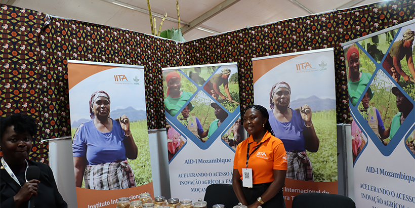 IITA Showcasing it´s innovations to transform agriculture in Mozambique.