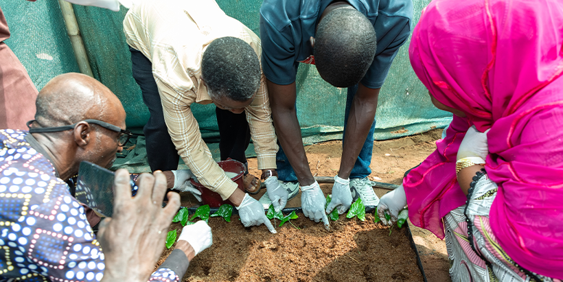 Participants planting vine segments during the practical session.
