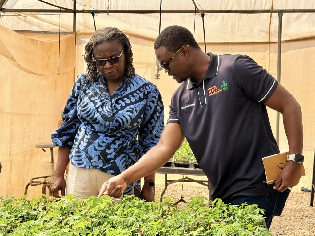 IITA Research Associate, Noah Manda explains the surface hydrophobic single node innovation to Dr Kwakwa.