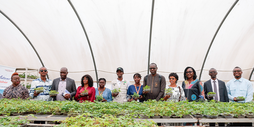 The Guinea delegation during a visit to the cassava SAH screen house.