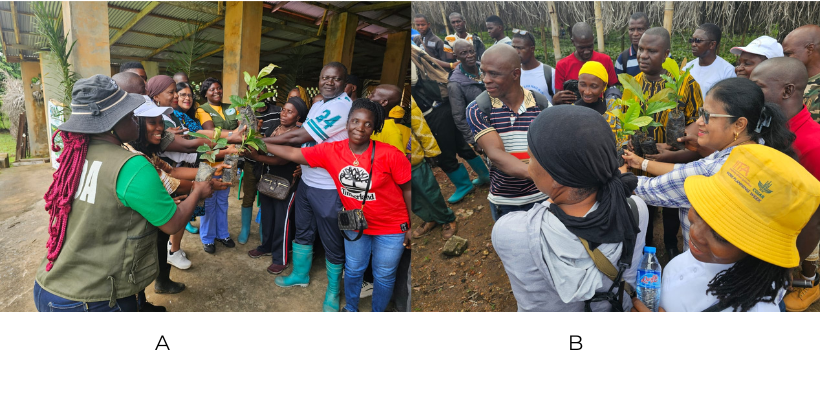 p1a and p1b: Dr Bhattacharjee with some of the coffee farmers and LACRA representatives during the handing over of seedlings in two of the counties.
