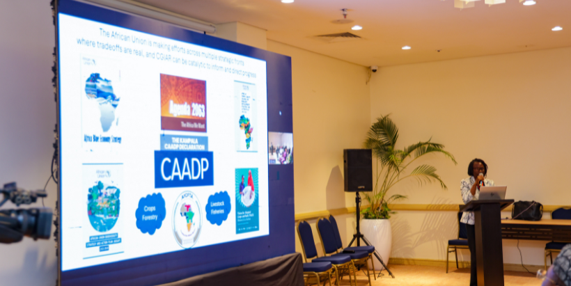 Head, Liaison Office for Africa, CGIAR System Organization, Dr Namukolo Covic during her address.