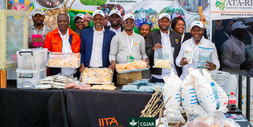 IITA Stand at the GSAD 2026, Lualaba, Kolwezi-DRC.