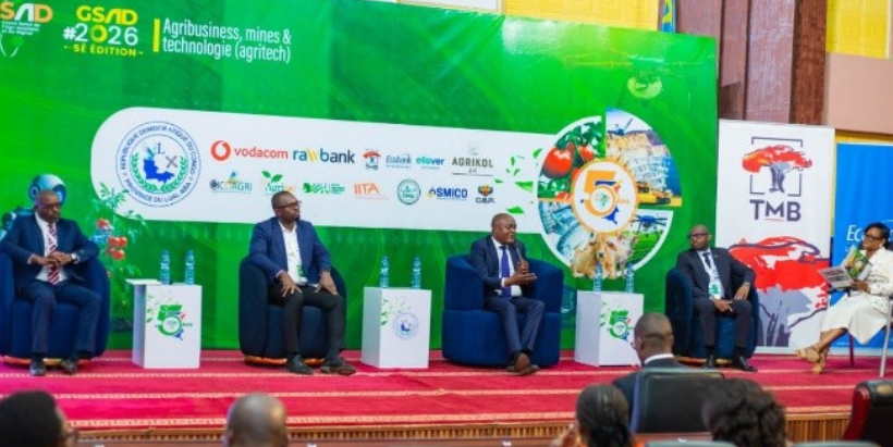 IITA experts participating in the panel discussion.