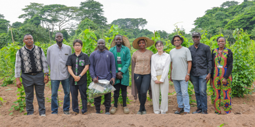 Ryo Matsumoto and Tanabe Ayano with IITA Yam Breeding Program staff during a tour of the yam breeding trial fields, gaining first-hand insight into ongoing research aimed at improving yam productivity and nutritional quality in Africa and beyond.
