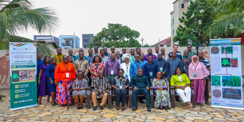Participants at the Ghana National Yam Advocacy Summit.