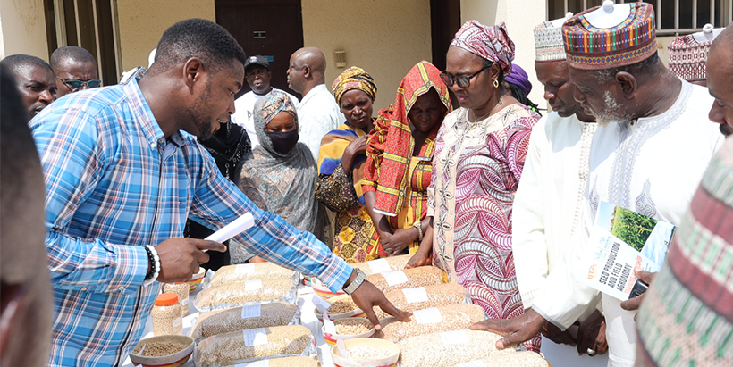 Participants during the seed production workshop.