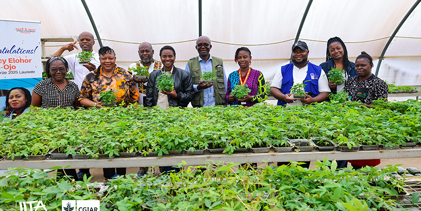 The UNDP team during a tour of the IITA Semi-Autotrophic Hydroponics screenhouse.