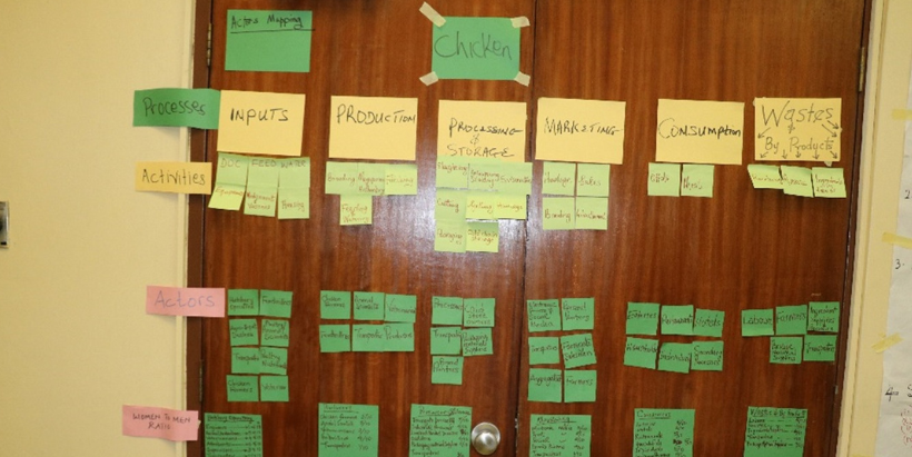 Chicken value chain post-it submissions during the stakeholders' workshop.