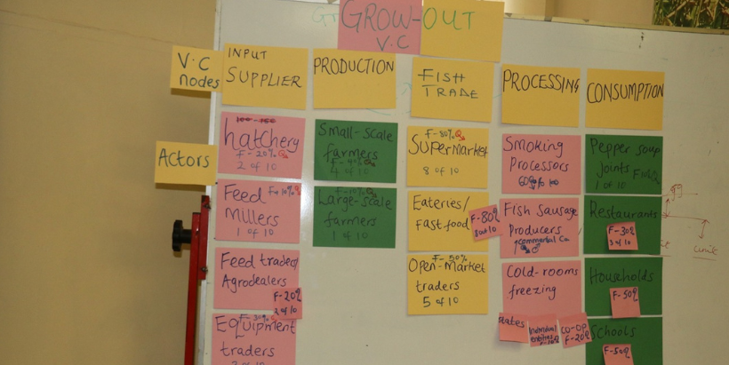 Catfish value chain map.
