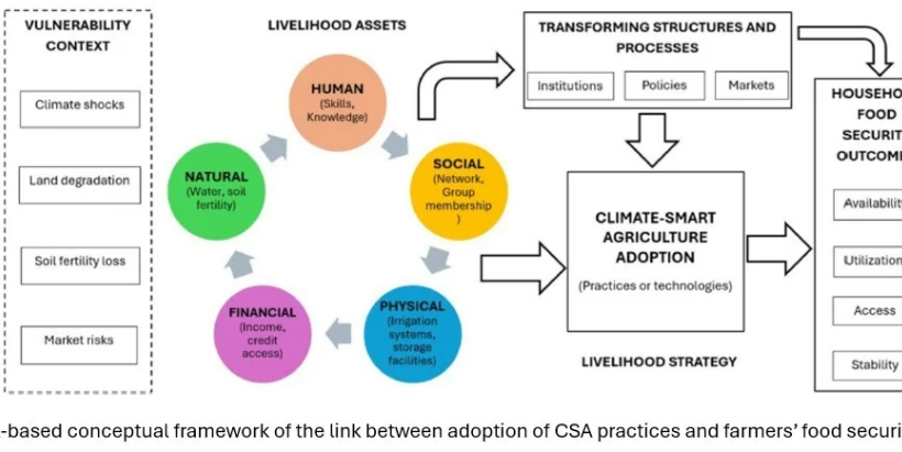 Conceptual framework.
