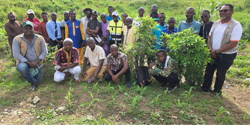 Field campaign activity in Sierra Leone.