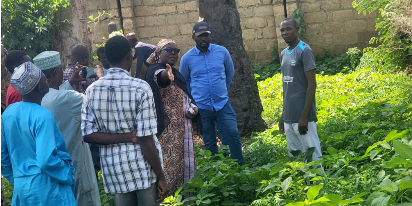 The IYA Team with the Katsina State ACReSAL Team during a visit to a vegetable production CIG in Katsina