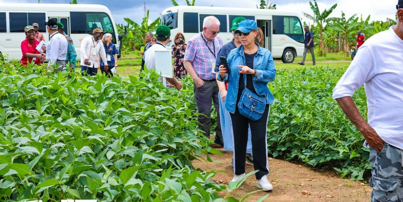 CGIAR Board members arriving at IITA's research fields in Ibadan.
