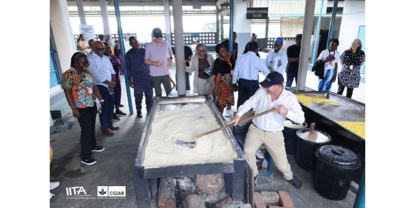 CGIAR Council Chair, Renaud Seligmann, during IITA facilities tour at the Cassava Mechanization and Processing Unit, happy to participate in the traditional frying of cassava to make garri.