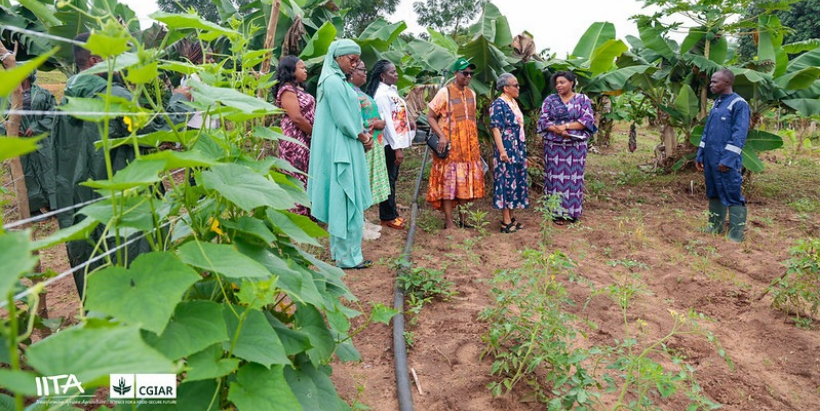 H. E. Roman Tesfaye, former First Lady of Ethiopia accompanied by Dr Mamou Ehui with some members of the IITA Women's group on a tour of the group's farm.