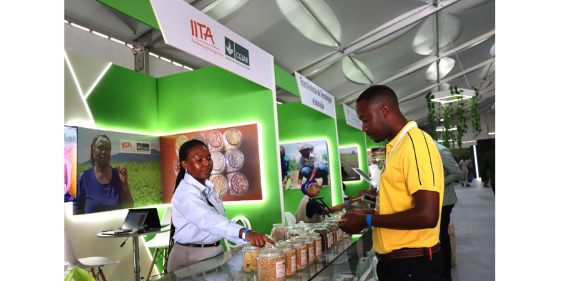 Visitors interact with IITA researchers and learn about improved crop varieties and agricultural innovations showcased at FACIM 2026.