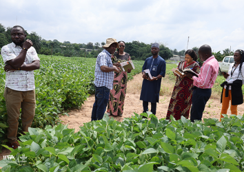 Support to the African Emergency Food Production Facility in the Comoros