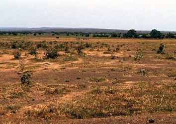 “Enhancing Sustainable Land Management and Climate-Resilient Agri-food Systems in Côte d’Ivoire (LARACI)”