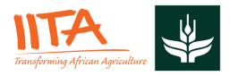 IITA Logo finalll (1)