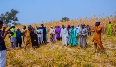 Soil value